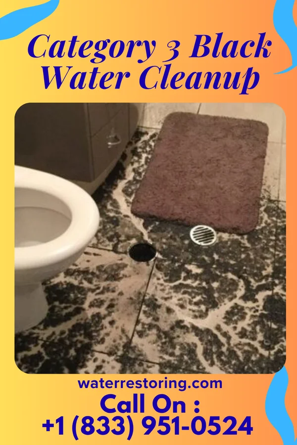 Category 3 Black Water Cleanup in Sioux Center, IA